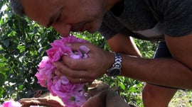 Imagem de Na Pista dos Odores