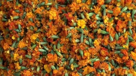 Imagem de Attar, Un Go�t de Parfum Sacr�