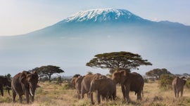 Parque Nacional de Amboseli -Qunia