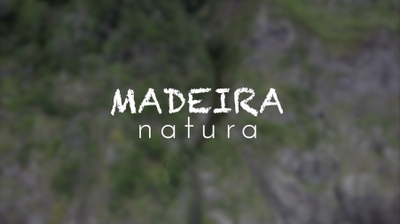 Play - Madeira Natura