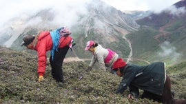 Imagem de O El Dorado no Tibete