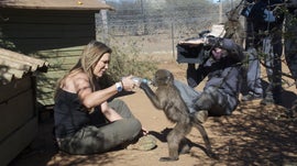 Baby Baboons