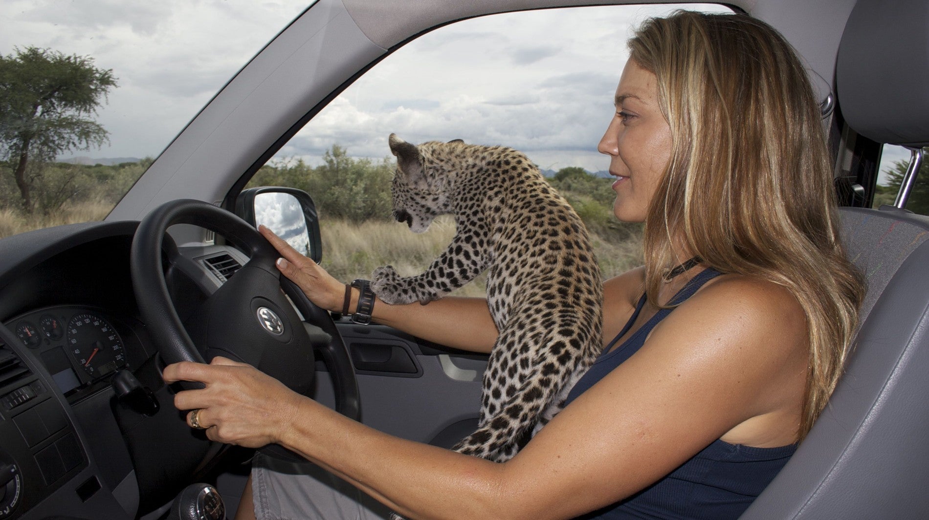 Cheetah Rescue