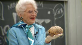 Imagem de O Meu Amor Pelo C�rebro