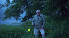 Imagem de David Attenborough - Luz na Terra