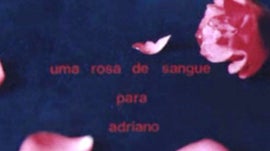 Imagem de Uma Rosa de Sangue Para Adriano