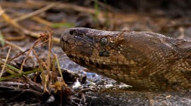 Imagem de River of Extremes