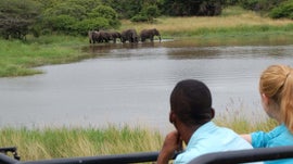 Imagem de Em Busca da Vida Selvagem