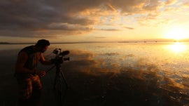 Imagem de Vento no Bamb�