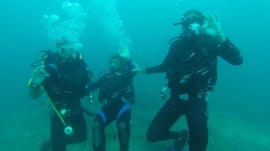 Imagem de Os Povos da Selva e da Cinza