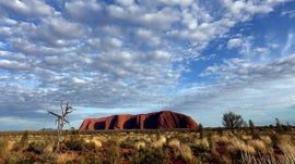 Imagem de A Estrada Austral