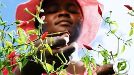 Imagem de Escola do Agricultor, Eu Sou Por Mo�ambique