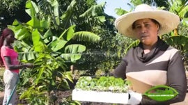 Imagem de Escola do Agricultor, Eu Sou Por Mo�ambique