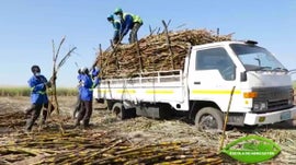 Imagem de Escola do Agricultor, Eu Sou Por Mo�ambique