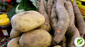 Imagem de Escola do Agricultor, Eu Sou Por Mo�ambique