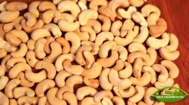 Imagem de Escola do Agricultor, Eu Sou Por Mo�ambique