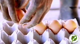 Imagem de Escola do Agricultor, Eu Sou Por Mo�ambique