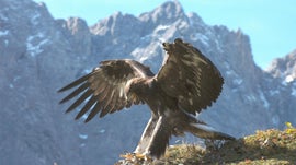 Imagem de Lagos Alpinos