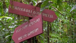 Imagem de Regi�o Centro