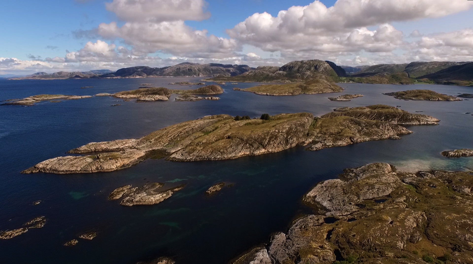 Escaguerraque Selvagem - Documentários - Natureza E Vida Selvagem - RTP