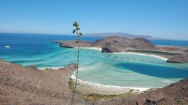 Imagem de Para�so Verde