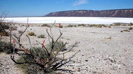 Imagem de M�xico - Um Deserto Entre Dois Mares