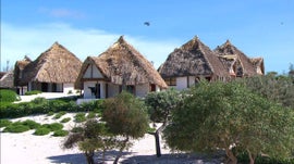 Imagem de Madag�scar - Uma Ilha Multifacetada