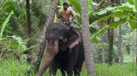 Imagem de Sri Lanka - A Ilha Esmeralda