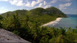 Imagem de Seicheles - O Sonho da Natureza