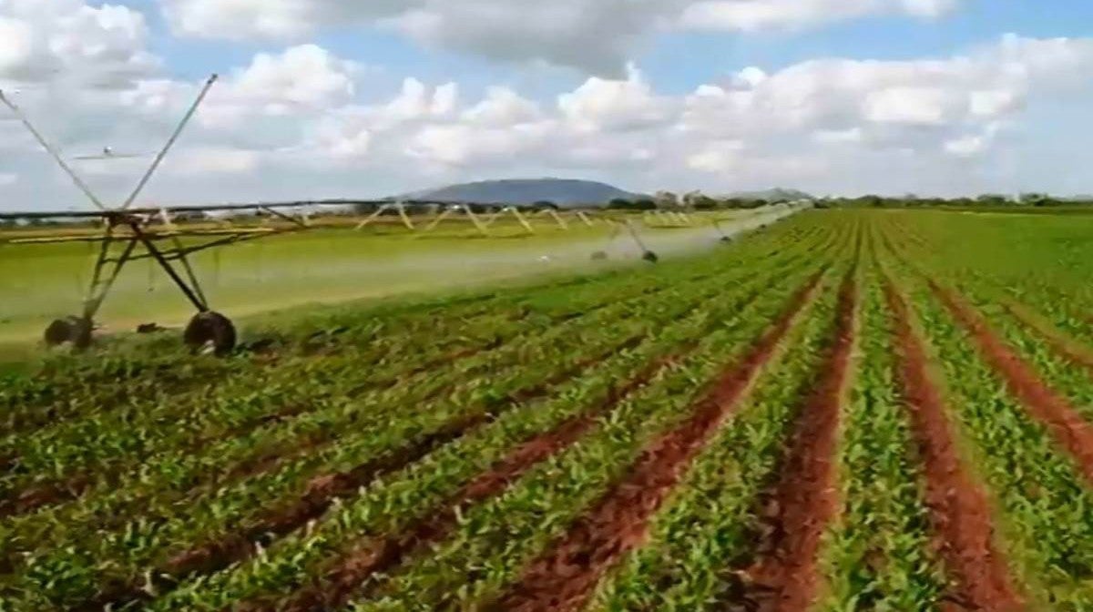 Novos Projetos Ligados  Agricultura em Moambique