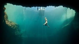 Imagem de O Homem Golfinho