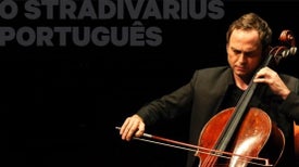 O Stradivarius Português