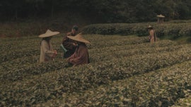 Imagem de A Guerra do Ch�: As Aventuras de Robert Fortune