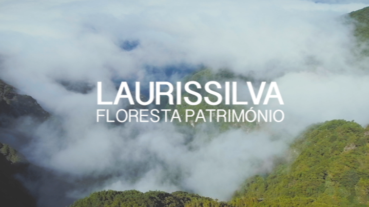 Laurissilva - Floresta Patrimnio