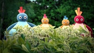 Twirlywoos