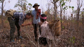 Camboja: Na Senda dos ltimos Krus