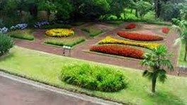 Imagem de Um Dia no Botânico - 30 Anos do Jardim Botânico do Faial