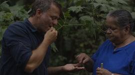 Imagem de Canad - Haida Gwaii, A Terra do Povo