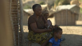 Imagem de Madagscar - O Esprito das Plantas