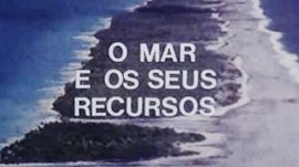 Imagem de A Boca da Baleia