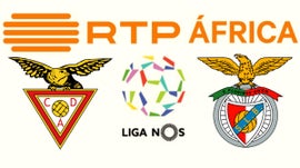 Imagem de D. Aves x Benfica