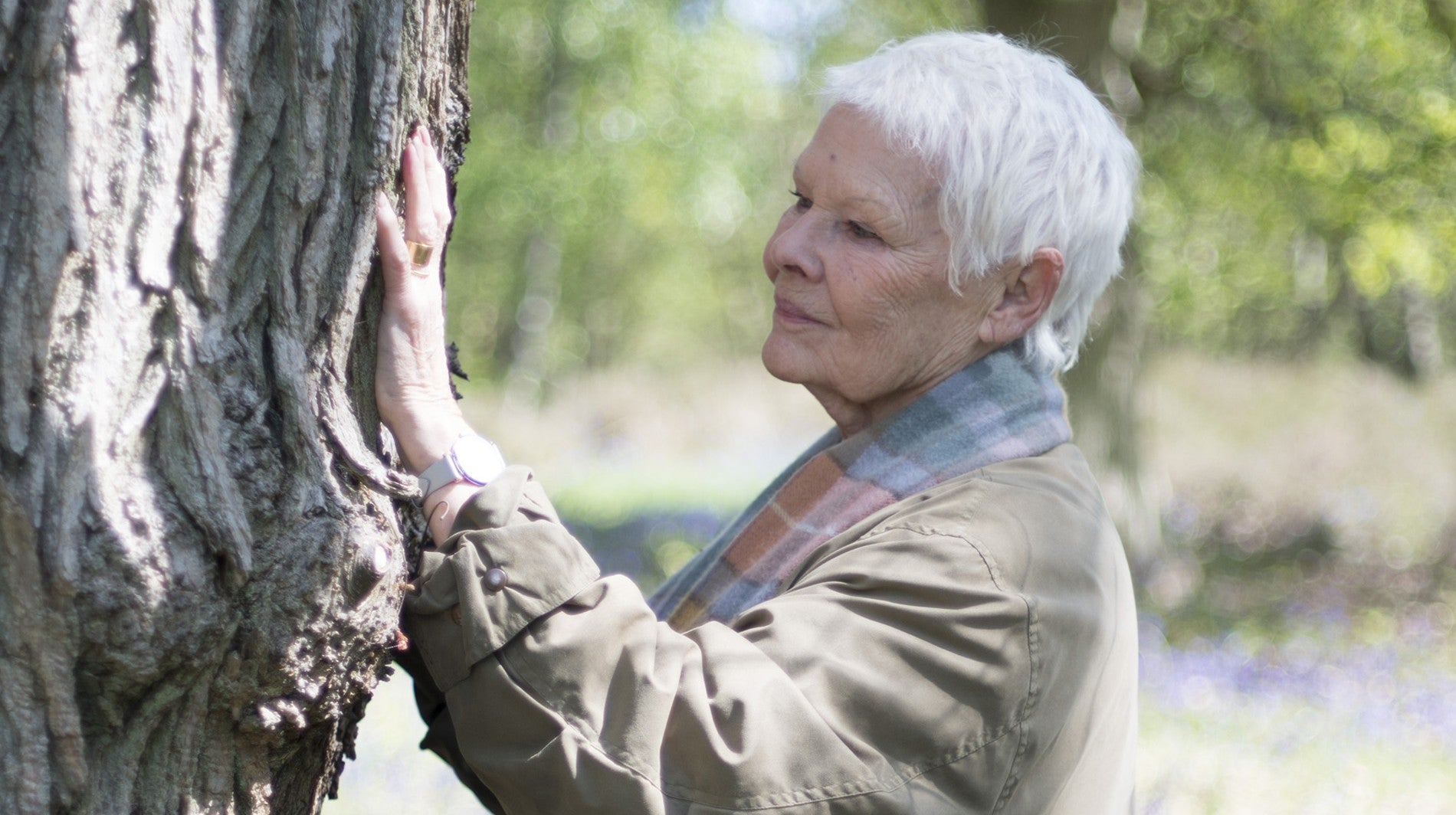 Judi Dench: A Minha Paixo por rvores