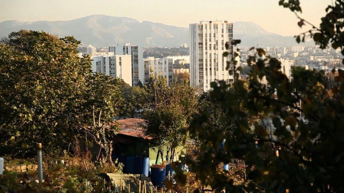 Do Jardim Para a Mesa