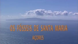 Os Fsseis de Santa Maria - Aores