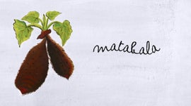 Matabala: Sopa de Matabala