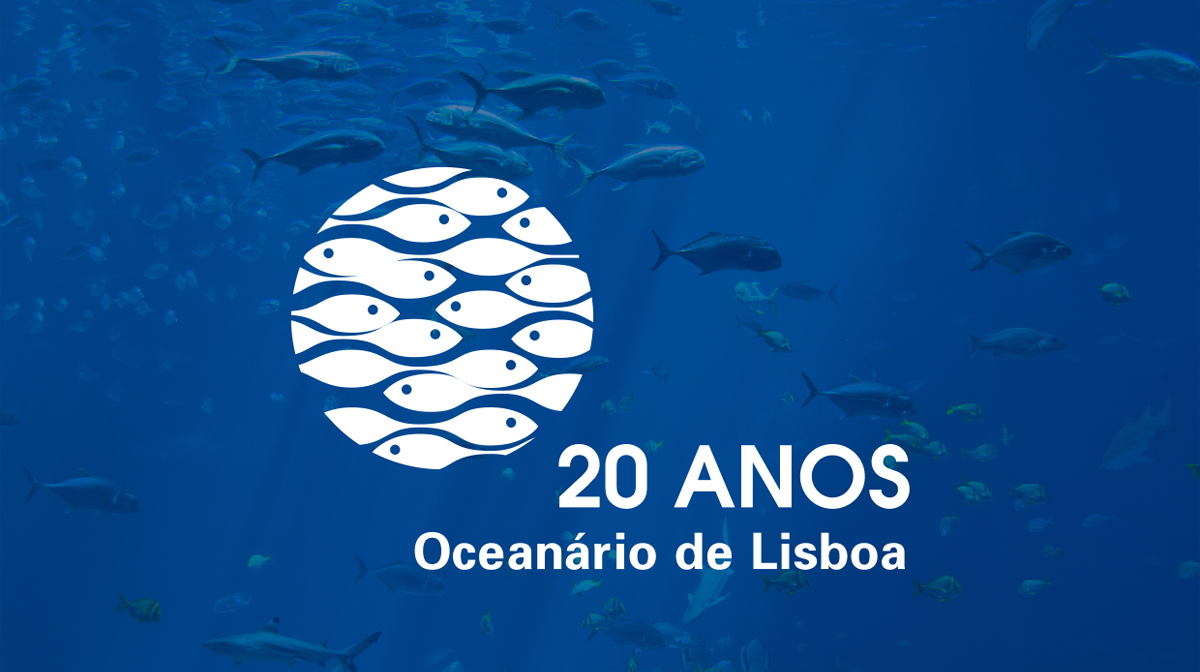 Oceanrio de Lisboa 20 Anos