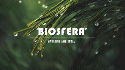 Play - Biosfera