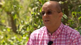 Imagem de Isildo Gomes / Floresta