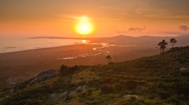 Imagem de Fauna da Pen�nsula Ib�rica