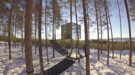 Imagem de Adormecer nas �rvores